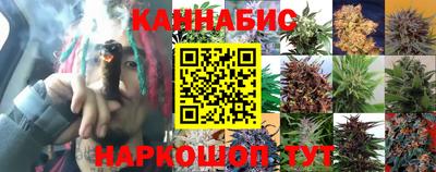 герыч Малгобек