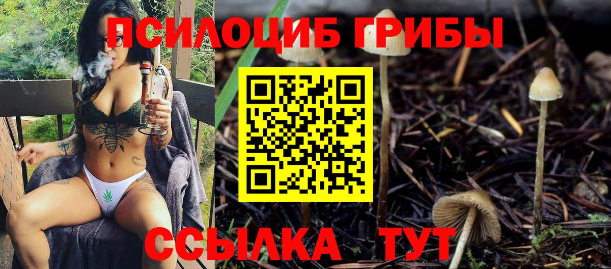 Янаул  хочу наркоту  Вход с VPN  Псилоцибиновые грибы прущие грибы 