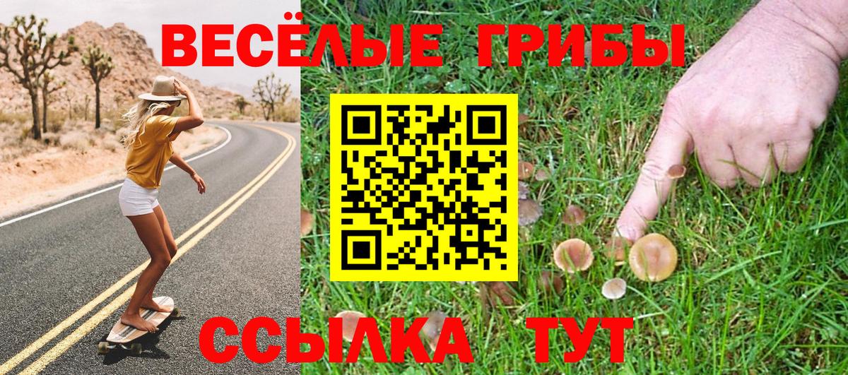 Псилоцибиновые грибы мицелий Янаул