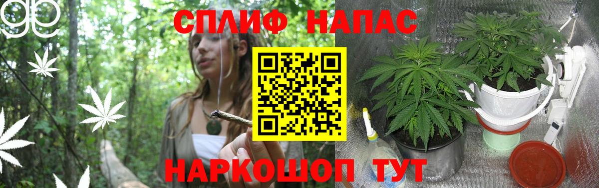 Каннабис Ganja  Бошки Шишки LSD WEED  Янаул  МАРИХУАНА планчик  Вход с VPN 